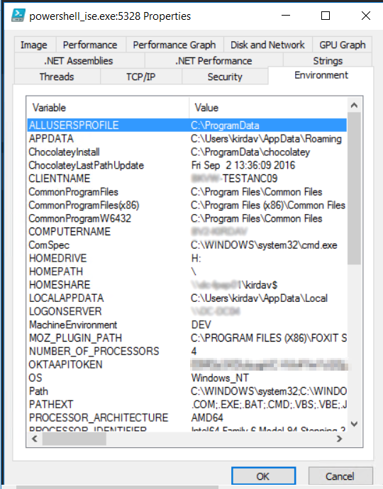 Process Explorer showing environmental variables Process Explorer showing environmental variables